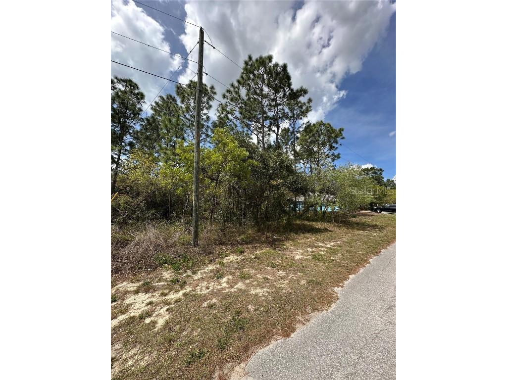 2 Fringetree Court Homosassa FL 34446 TB8366188 image4