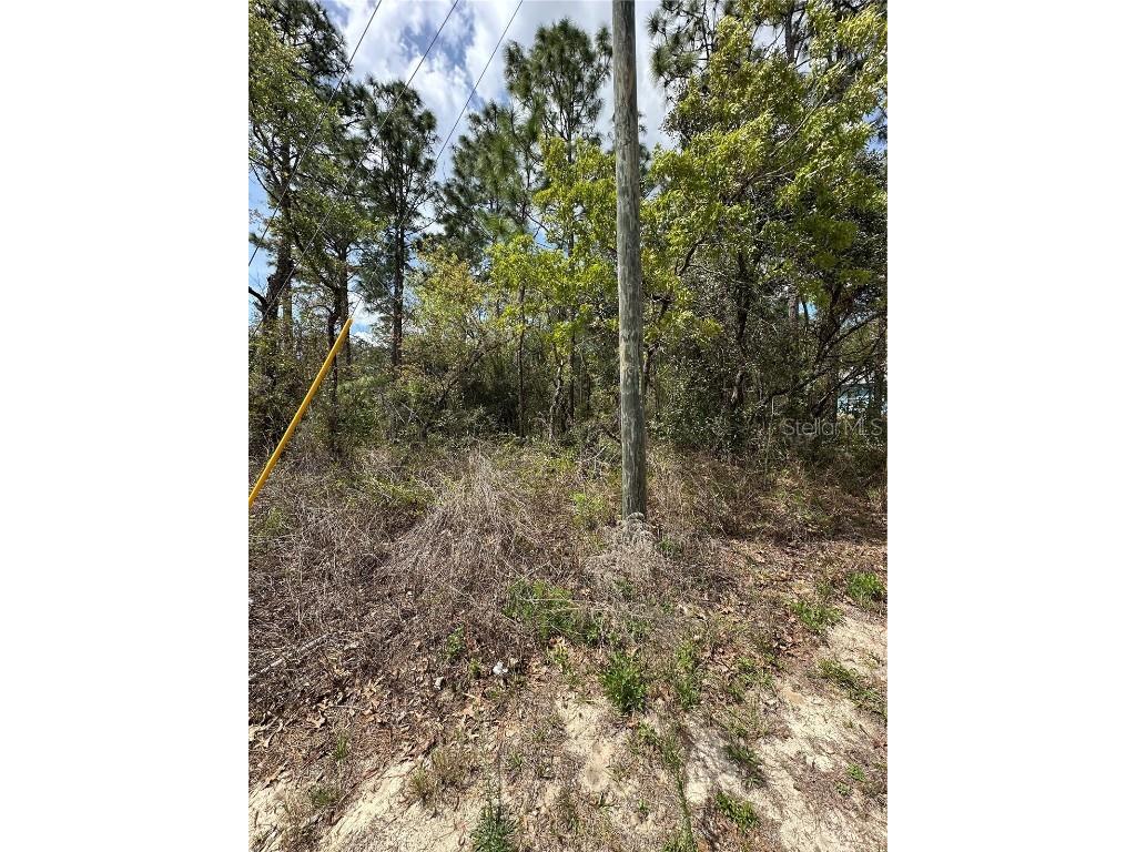 2 Fringetree Court Homosassa FL 34446 TB8366188 image5