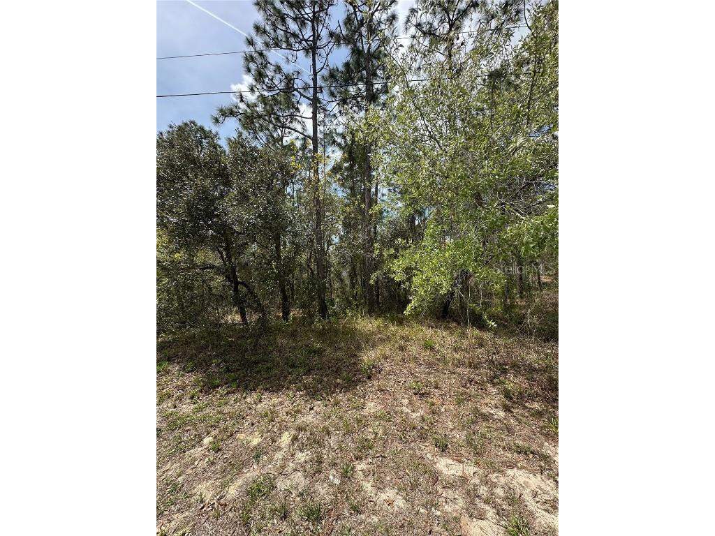 2 Fringetree Court Homosassa FL 34446 TB8366188 image6