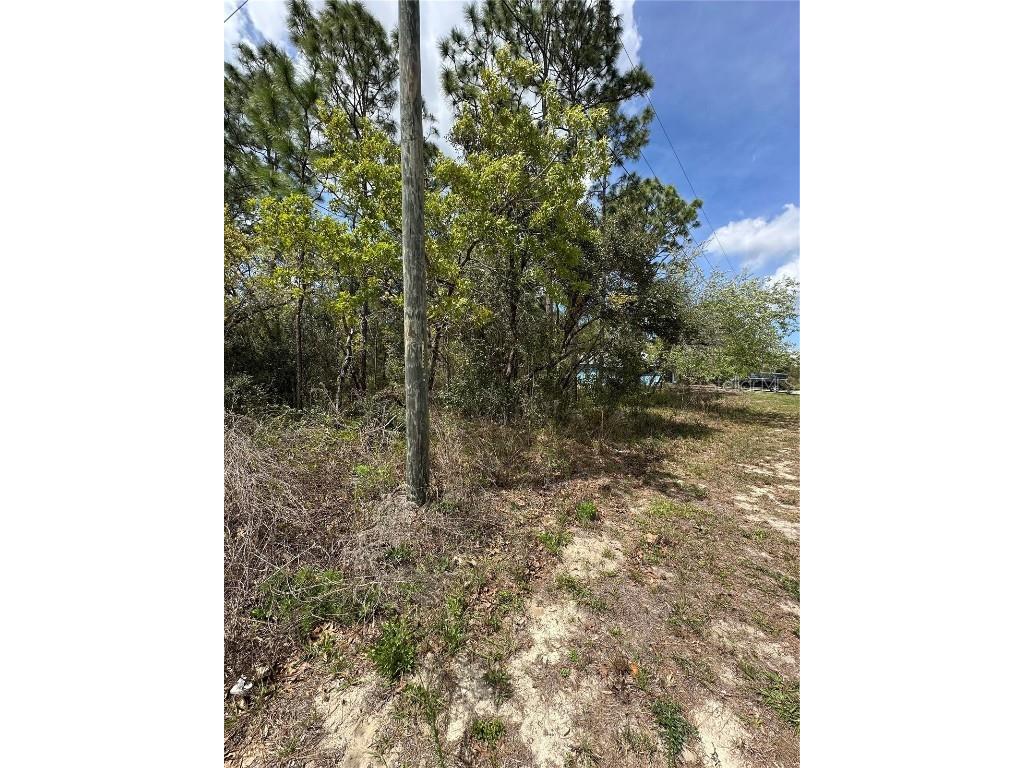 2 Fringetree Court Homosassa FL 34446 TB8366188 image7