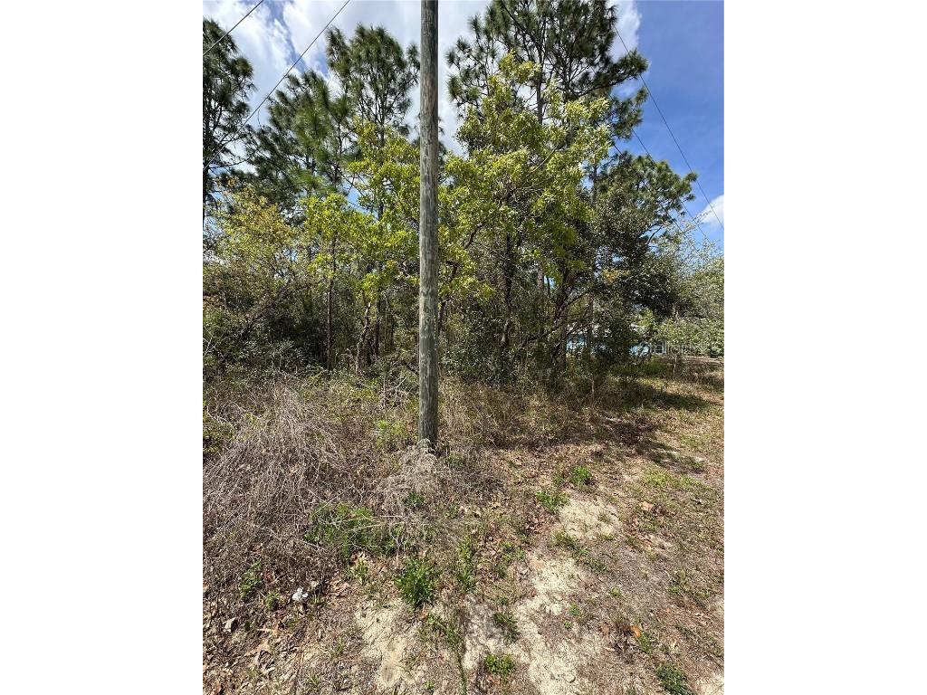 2 Fringetree Court Homosassa FL 34446 TB8366188 image8