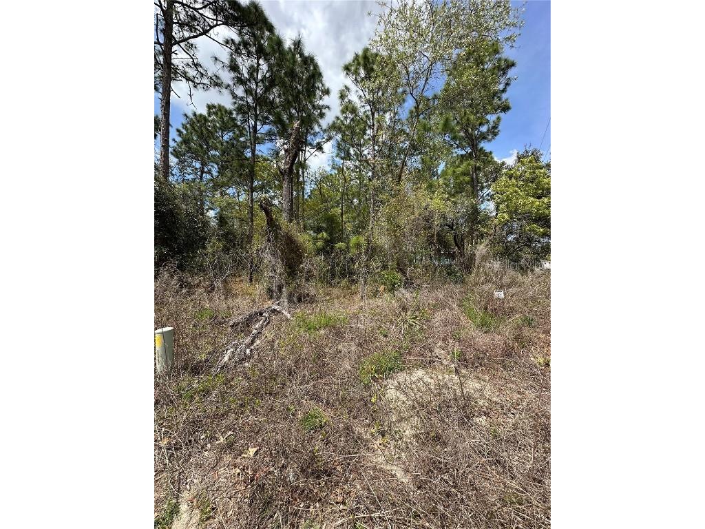 2 Fringetree Court Homosassa FL 34446 TB8366188 image9