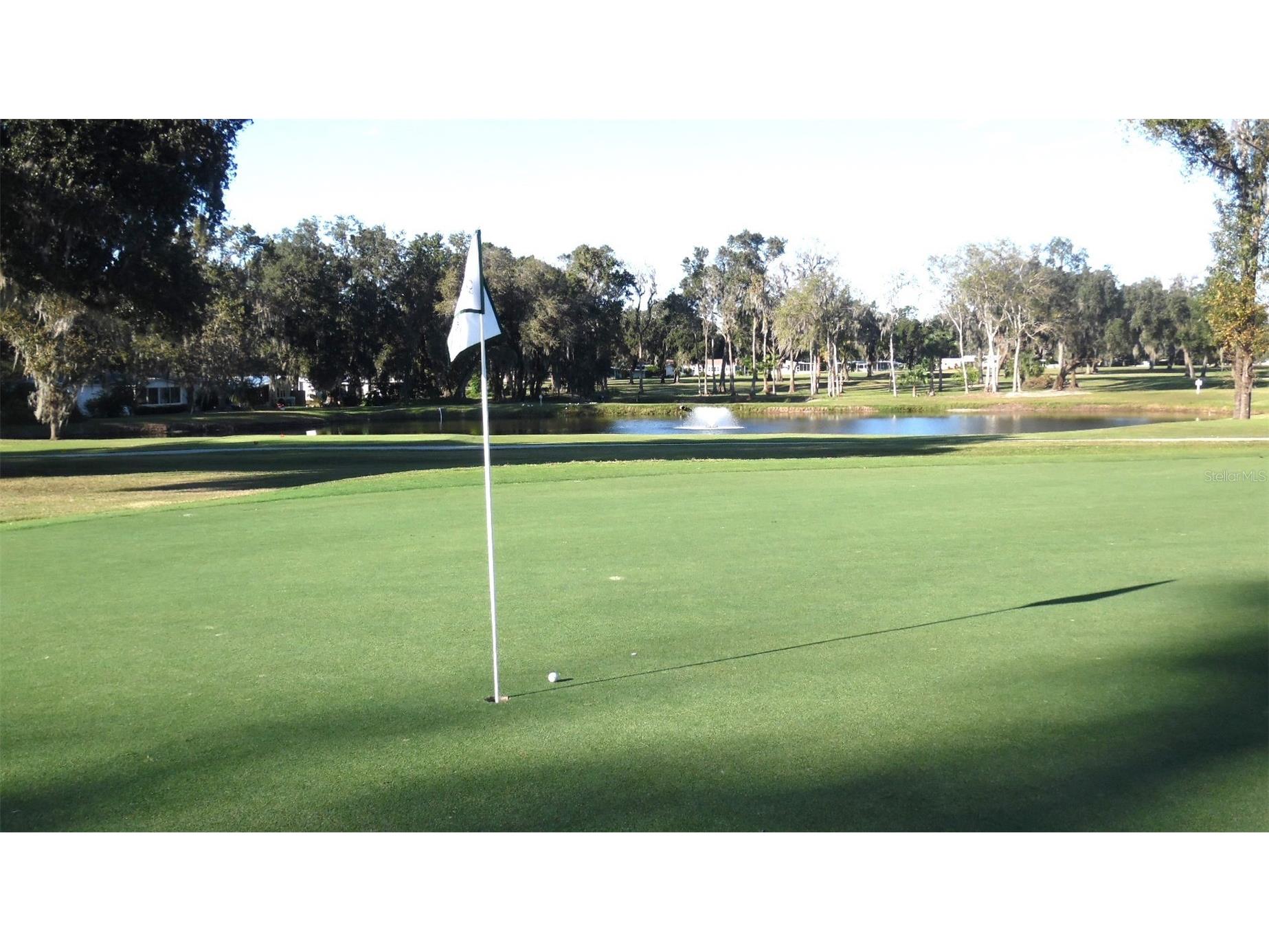 2 Grove Trail Wildwood FL 34785 - ON GOLDEN PONG & LAKE OKAHUMPK G5111337 image31