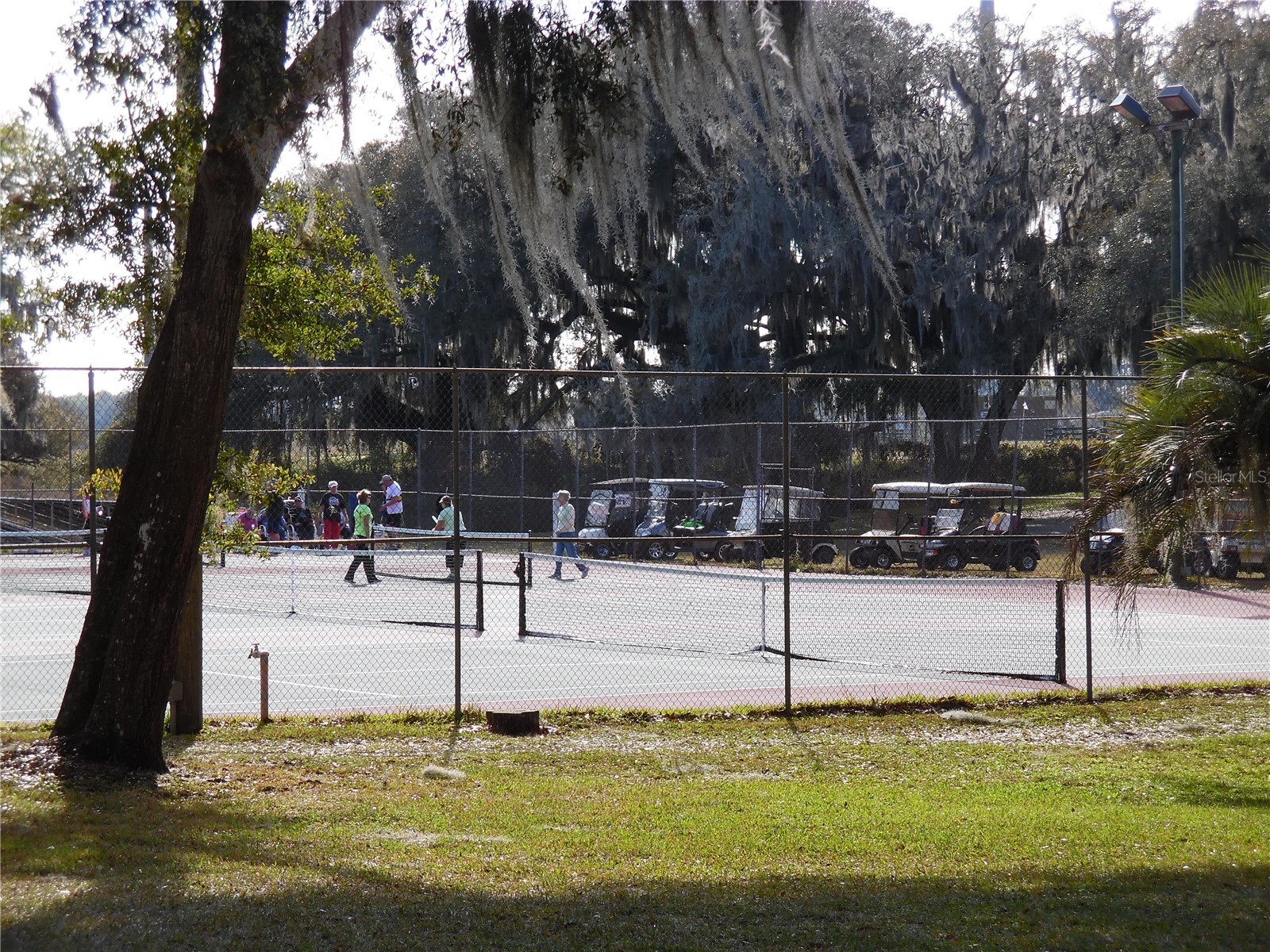 2 Grove Trail Wildwood FL 34785 - ON GOLDEN PONG & LAKE OKAHUMPK G5111337 image38
