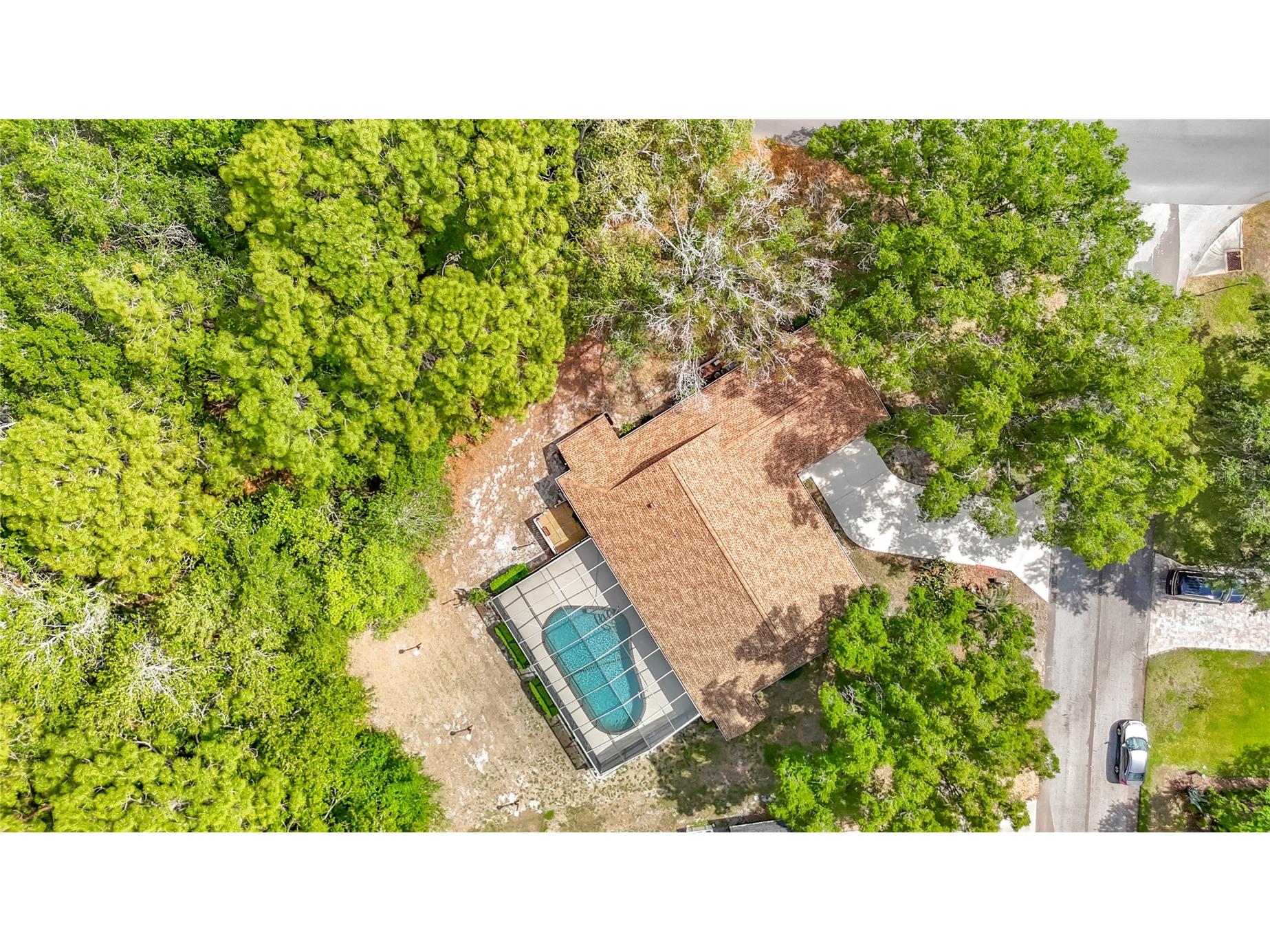 2 Jungleplum Court W Homosassa FL 34446 W7885264 image78