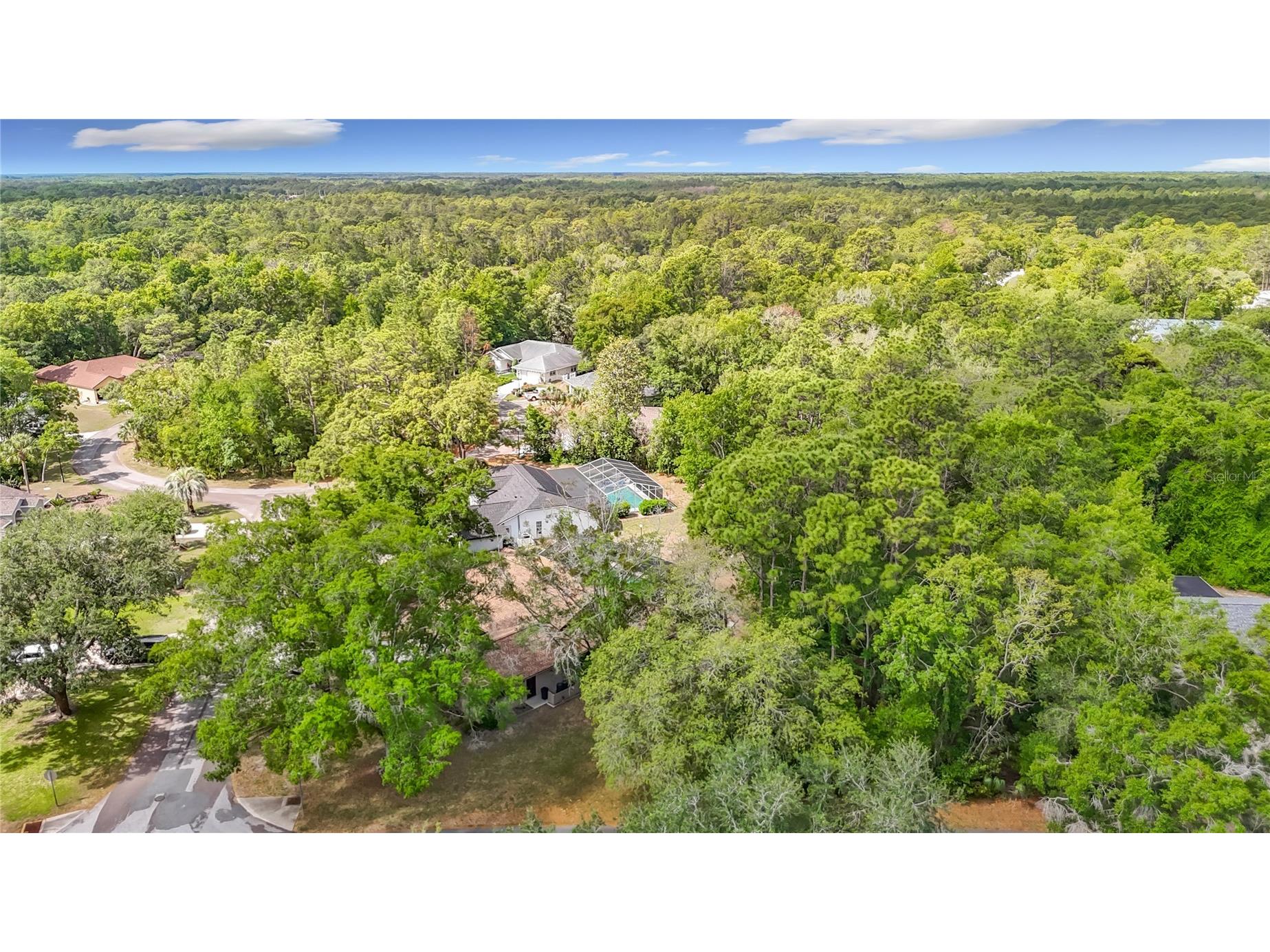 2 Jungleplum Court W Homosassa FL 34446 W7885264 image80