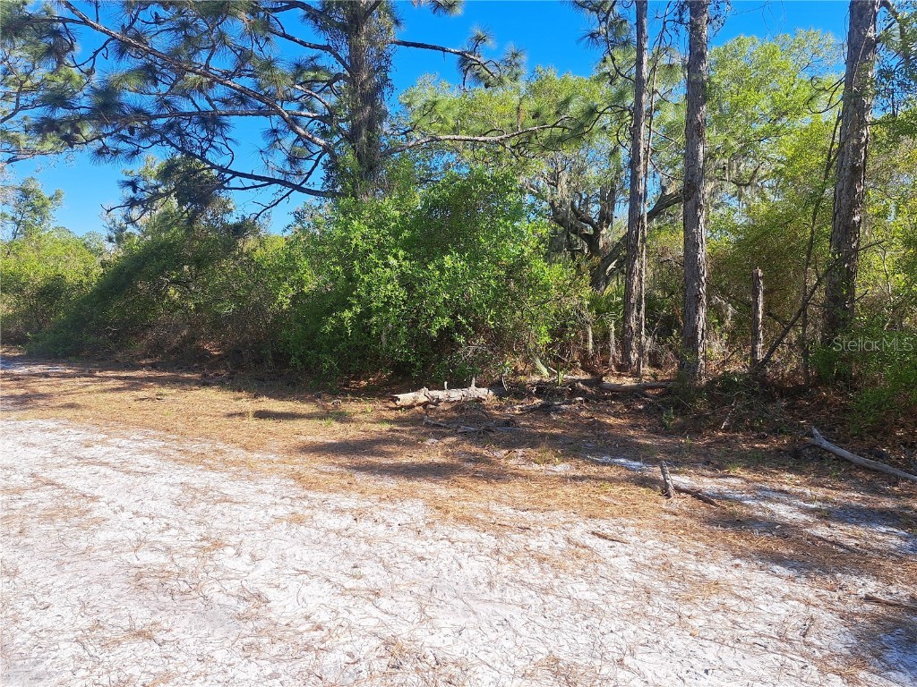 2 Laguna Drive Indian Lake Estates FL 33855 O6295251 image5