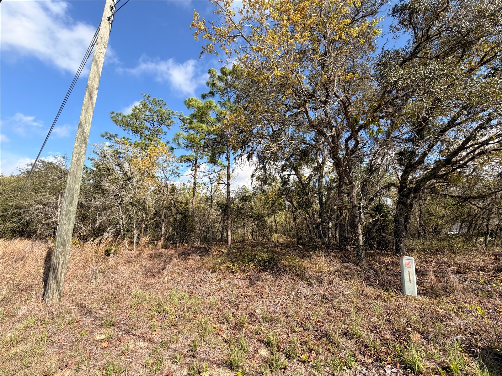 2 Linder Street Homosassa FL 34446 TB8485612 image13