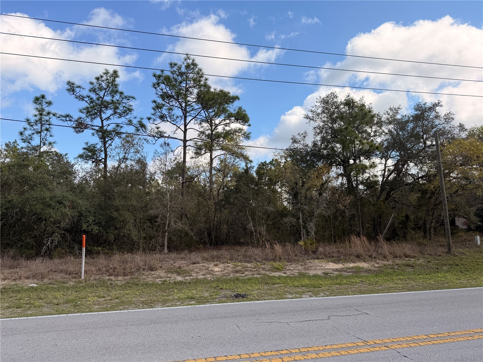 2 Linder Street Homosassa FL 34446 TB8485612 image16