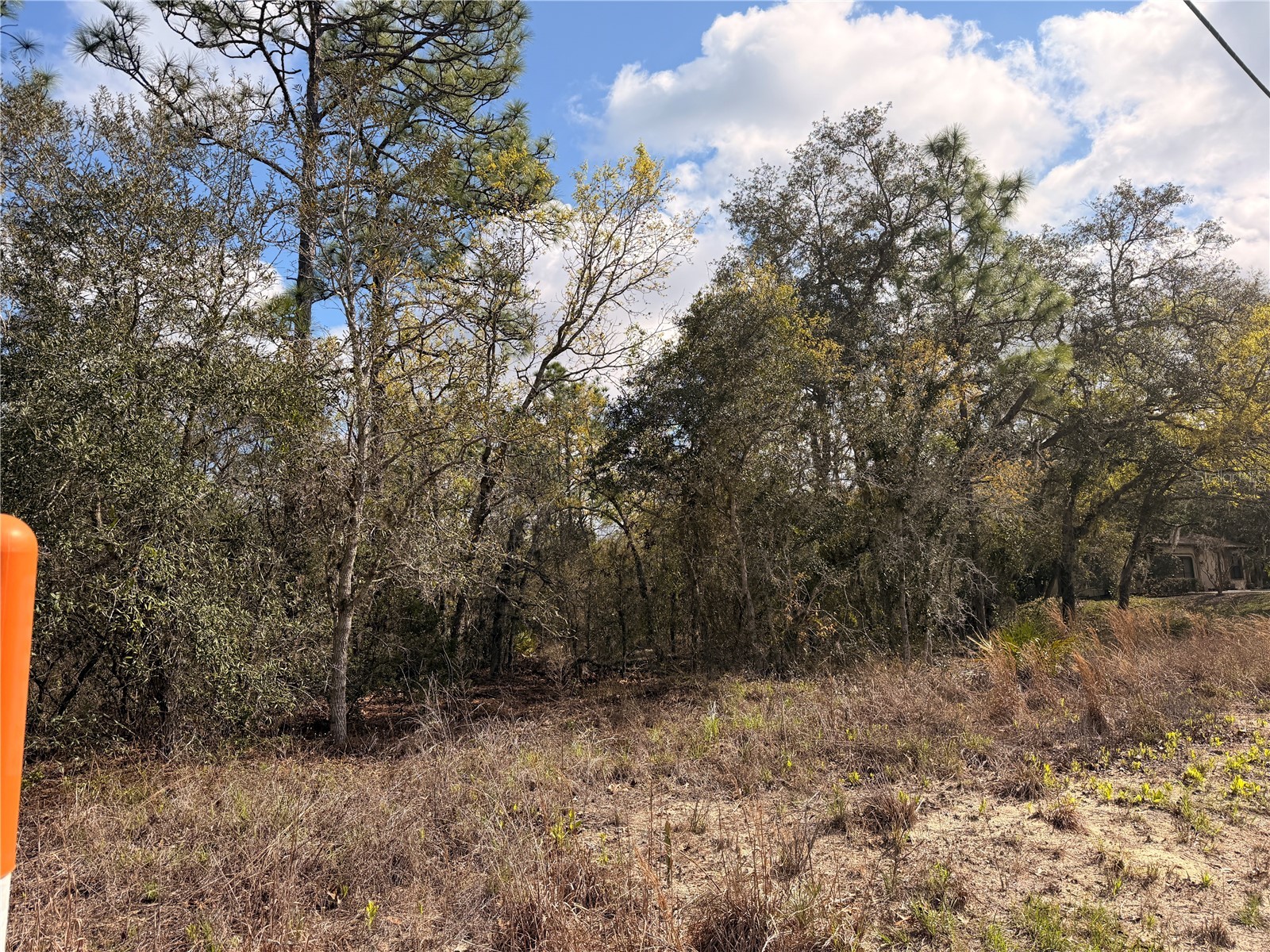 2 Linder Street Homosassa FL 34446 TB8485612 image17