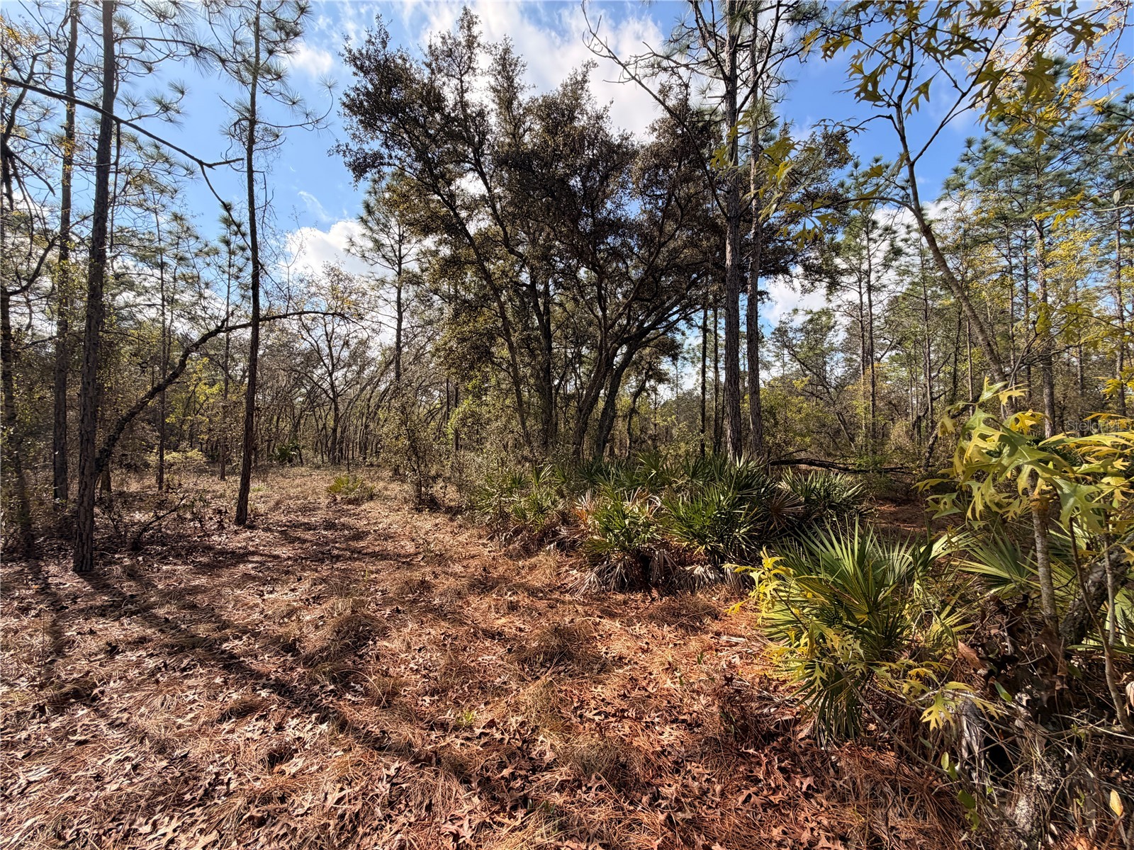2 Linder Street Homosassa FL 34446 TB8485612 image18