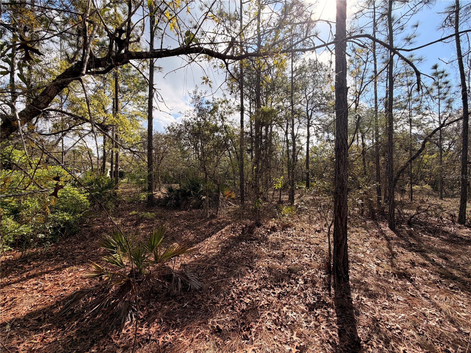 2 Linder Street Homosassa FL 34446 TB8485612 image19