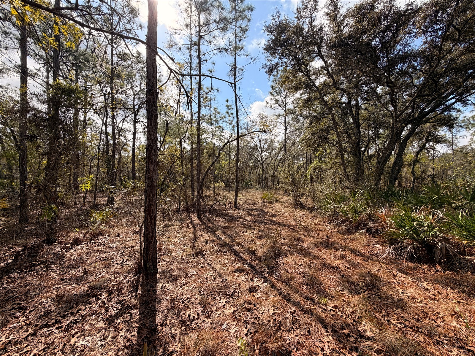 2 Linder Street Homosassa FL 34446 TB8485612 image20