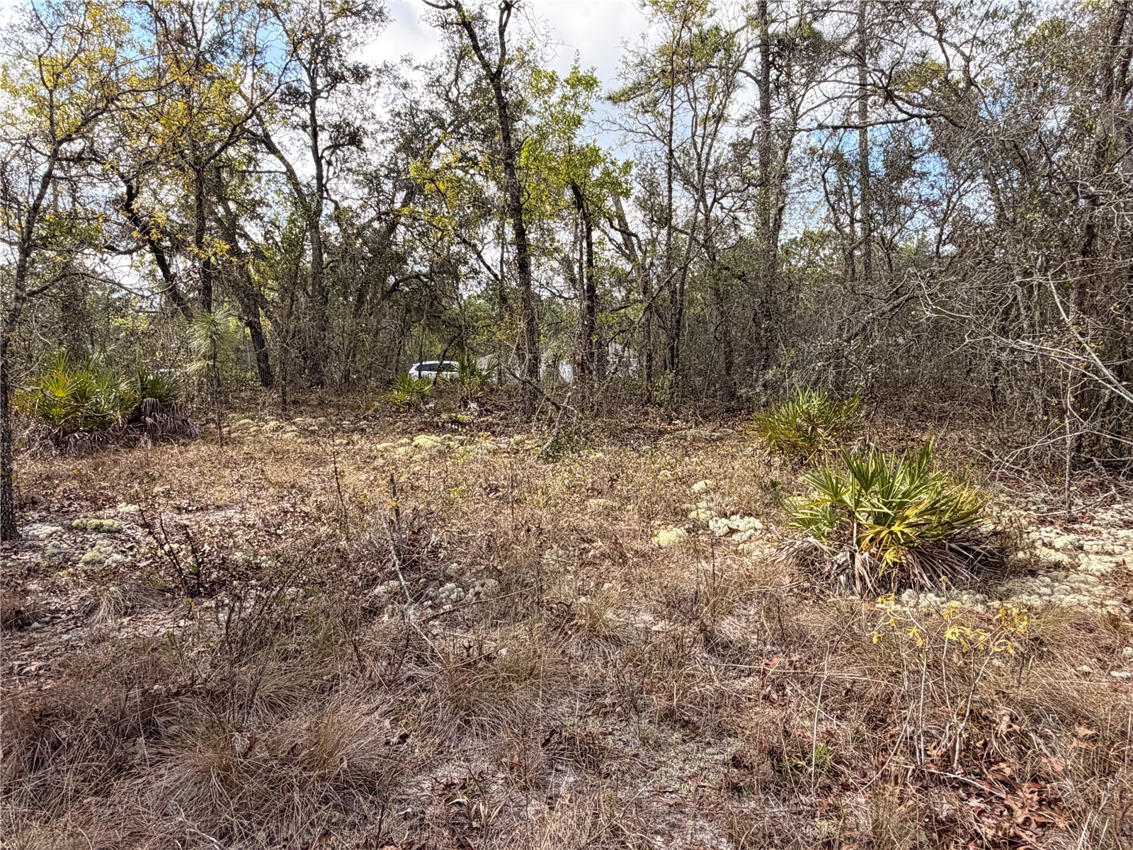 2 Linder Street Homosassa FL 34446 TB8485612 image21