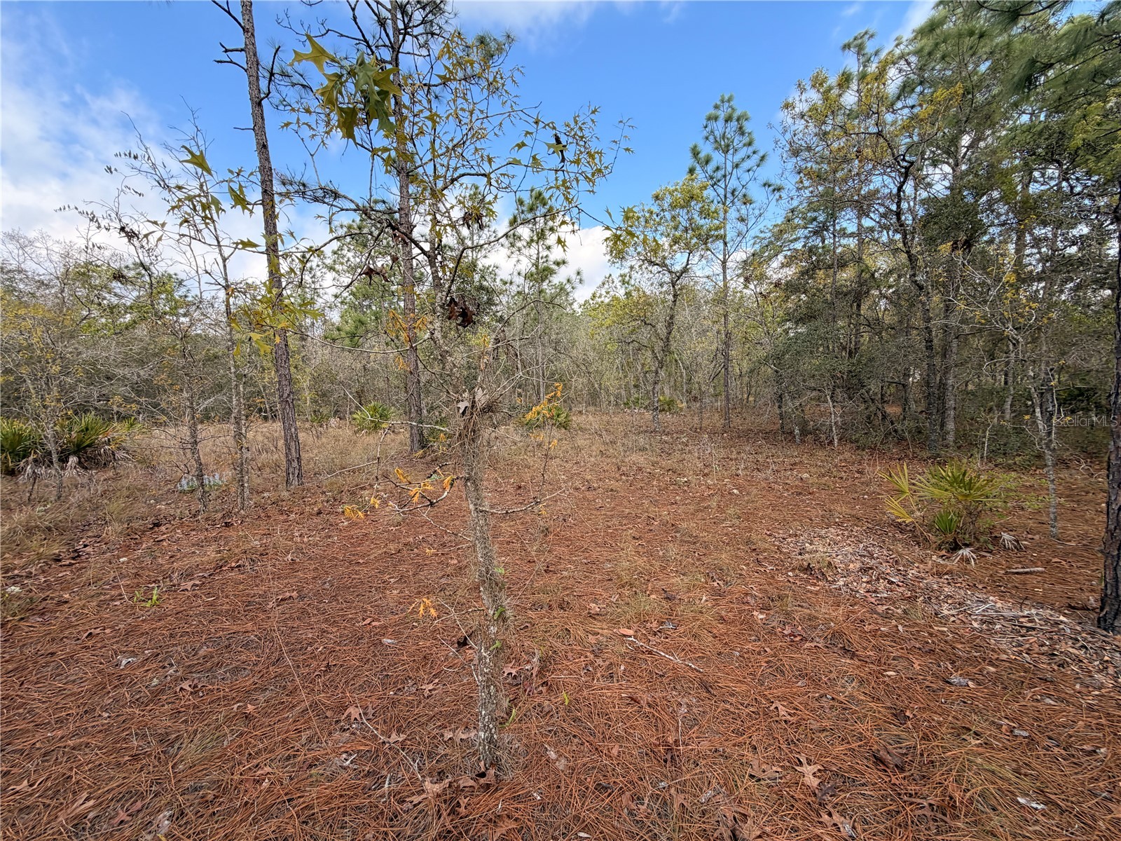 2 Linder Street Homosassa FL 34446 TB8485612 image23