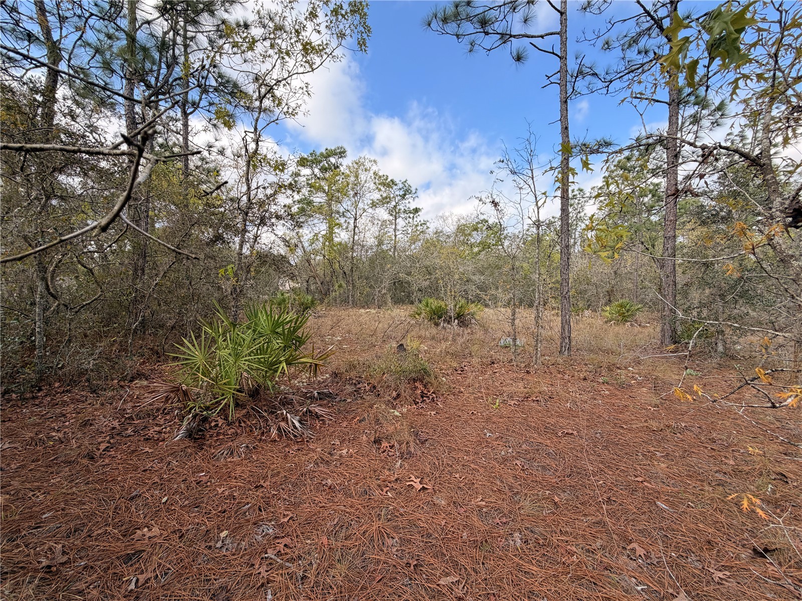 2 Linder Street Homosassa FL 34446 TB8485612 image24