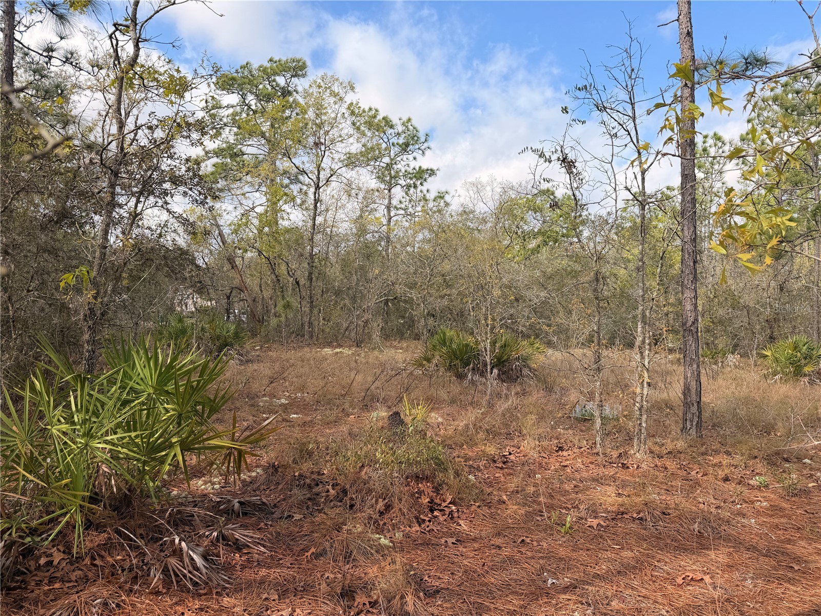2 Linder Street Homosassa FL 34446 TB8485612 image25