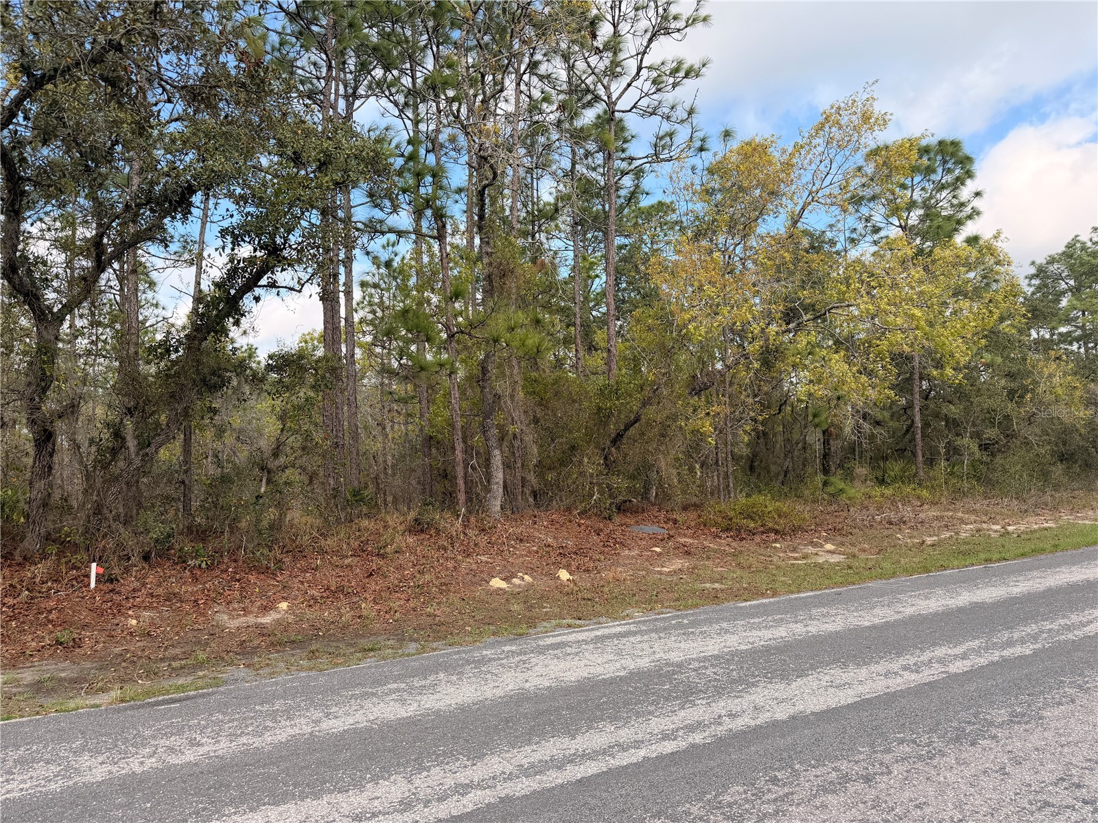2 Linder Street Homosassa FL 34446 TB8485612 image26