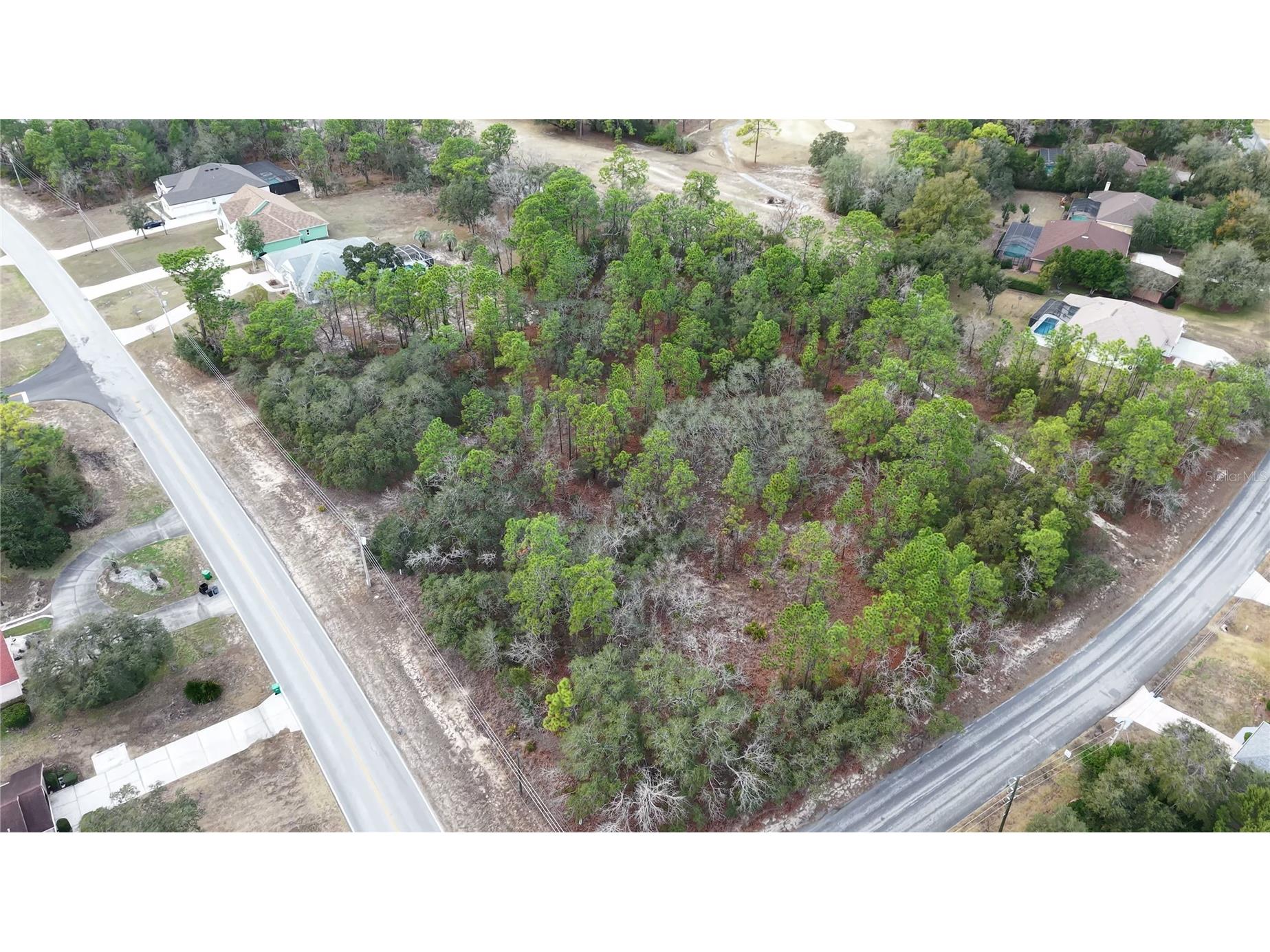 2 Linder Street Homosassa FL 34446 TB8485612 image5