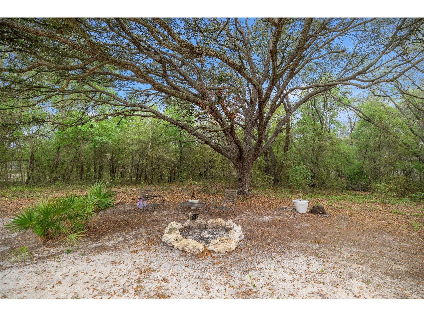 2 Magnolia Pass Trace Ocklawaha FL 32179 OM721757 image28