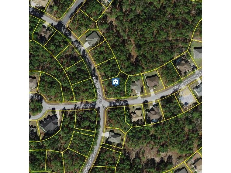 2 Maidenbush Court E Homosassa FL 34446 W7879769 image1