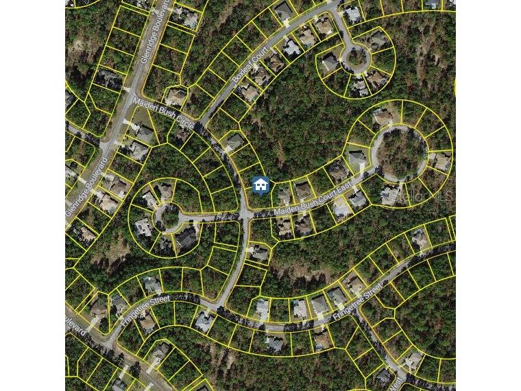 2 Maidenbush Court E Homosassa FL 34446 W7879769 image2