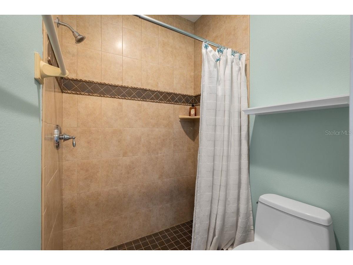 2 Mar Azul N Ponce Inlet FL 32127 V4948936 image40