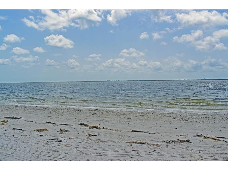 2 N Fernwood Avenue #14 Clearwater FL 33765 TB8514540 image13