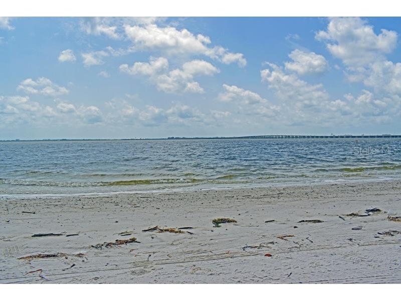 2 N Fernwood Avenue #14 Clearwater FL 33765 TB8514540 image14