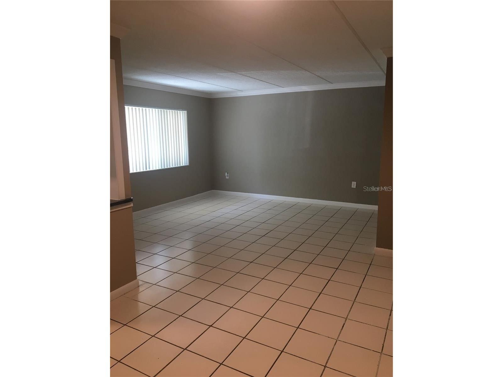 2 N Fernwood Avenue #7 Clearwater FL 33765 TB8517463 image5