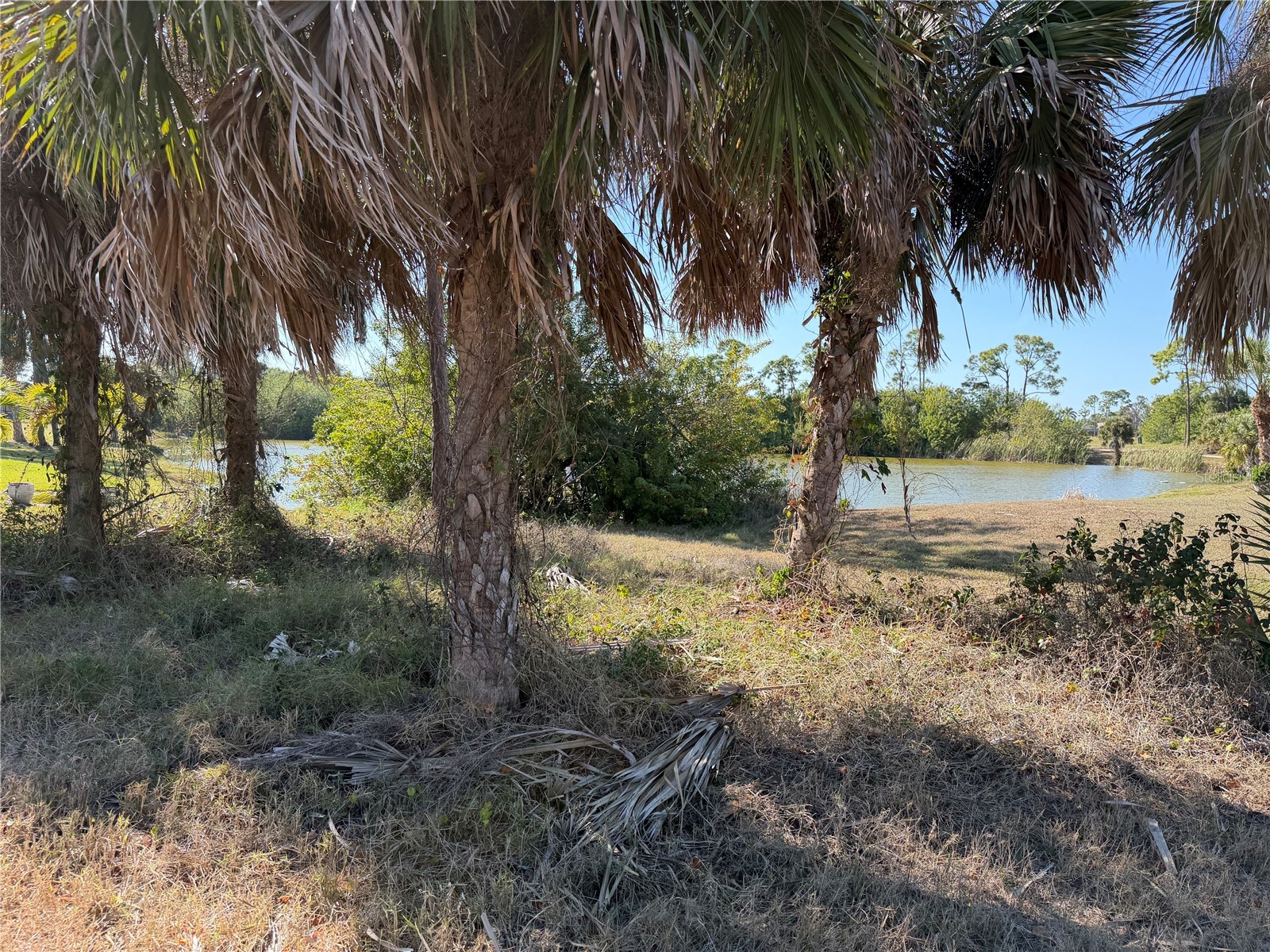 2 Pine Valley Ct Rotonda West FL 33947 D6146222 image4