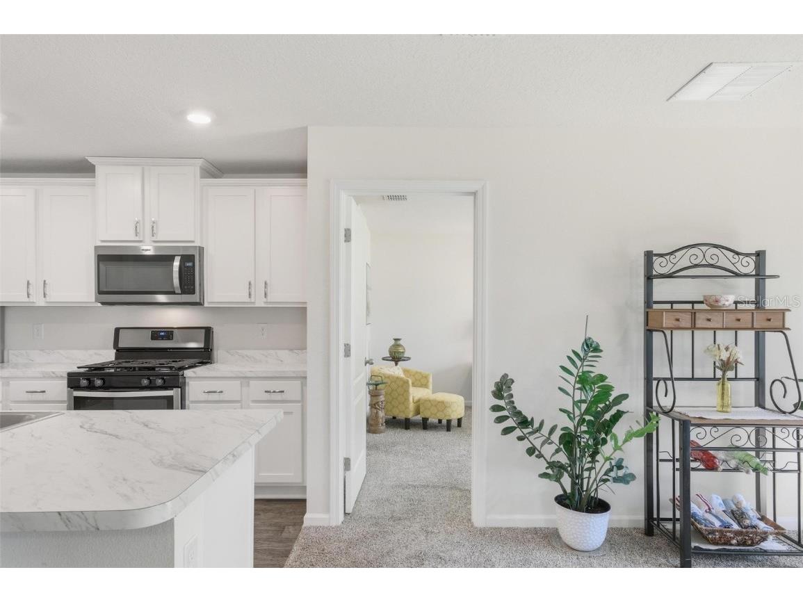 2 Pinnacle Place Bunnell FL 32110 FC313396 image28