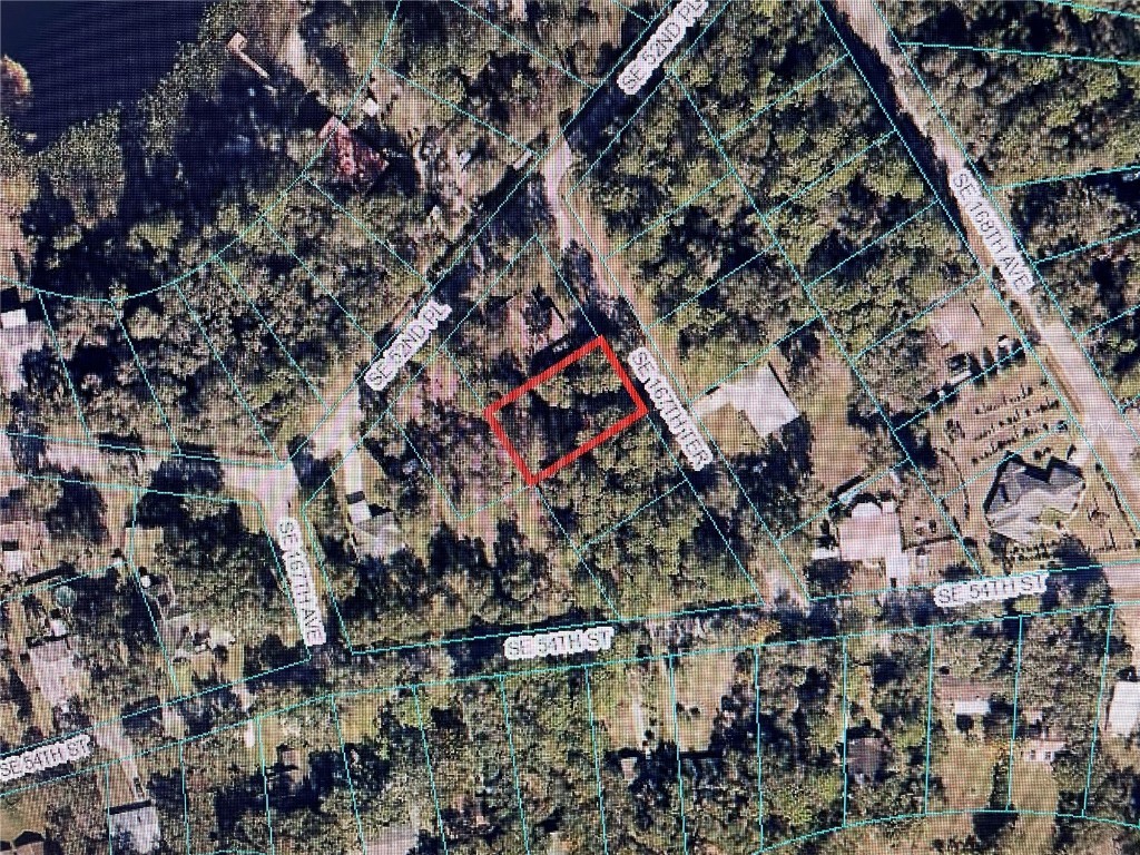 2 SE 167 Terrace Ocklawaha FL 32179 OM646234 image1