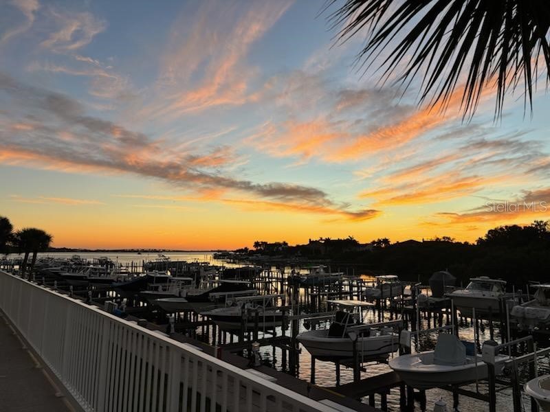 2 Seaside Lane #103 Belleair FL 33756 TB8456311 image4