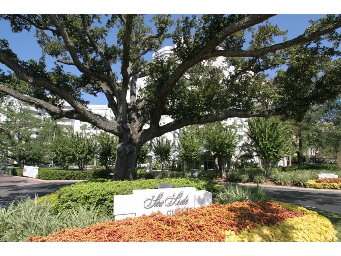 2 Seaside Lane #201 Belleair FL 33756 TB8445285 image10