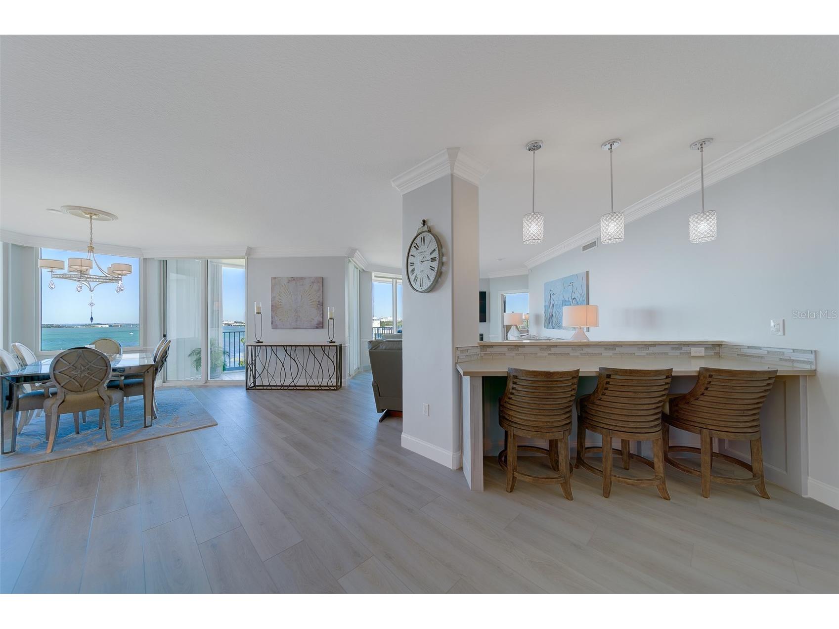 2 Seaside Lane #801 Belleair FL 33756 - CLEARWATER BAY/GULF OF MEXICO TB8400487 image29