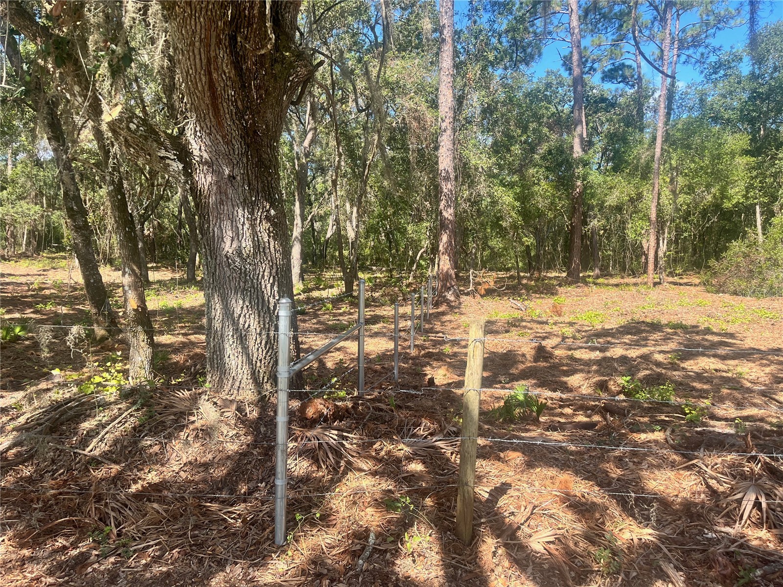 2 Sendcastle Drive Groveland FL 34736 TB8418355 image11