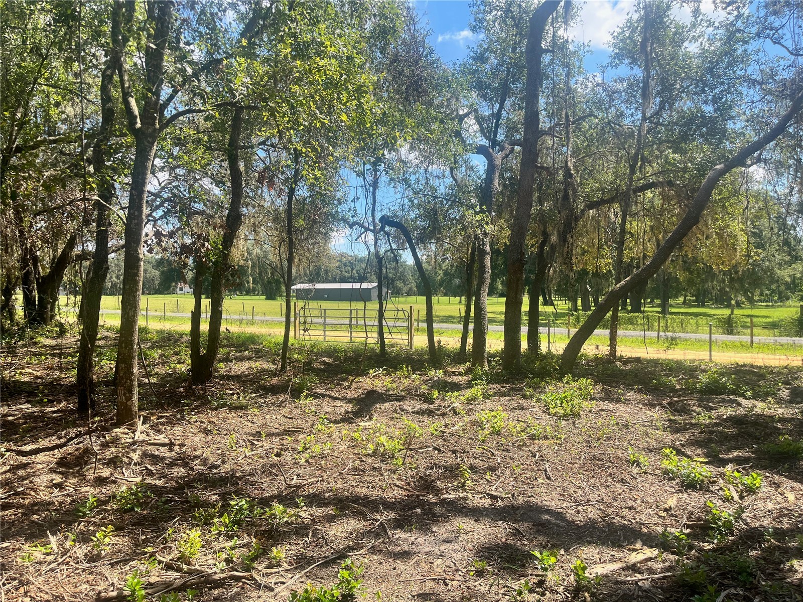 2 Sendcastle Drive Groveland FL 34736 TB8418355 image15