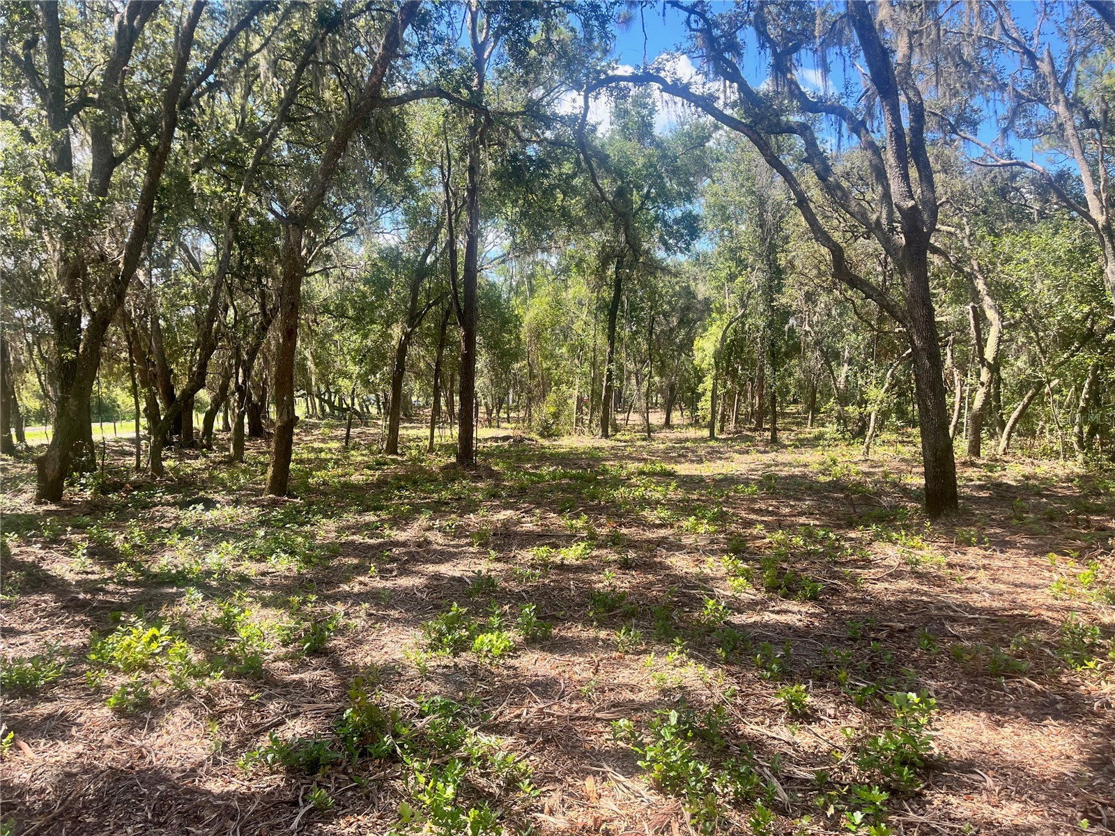 2 Sendcastle Drive Groveland FL 34736 TB8418355 image16