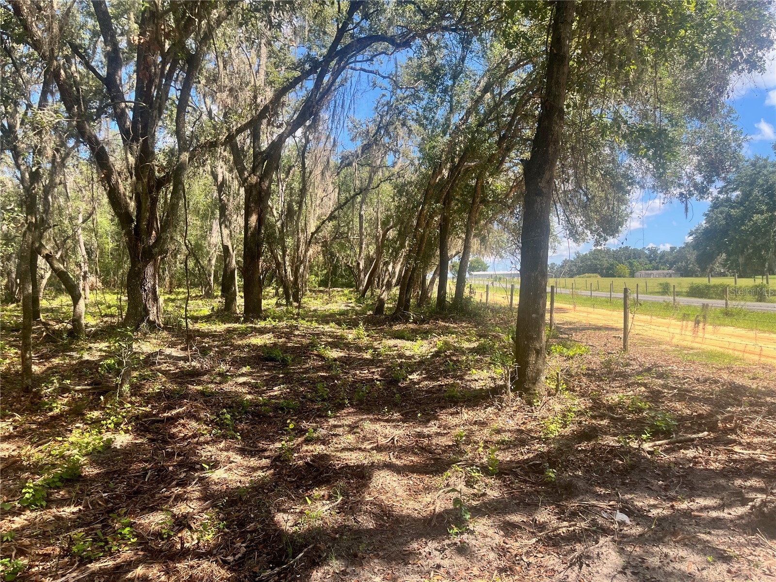 2 Sendcastle Drive Groveland FL 34736 TB8418355 image20