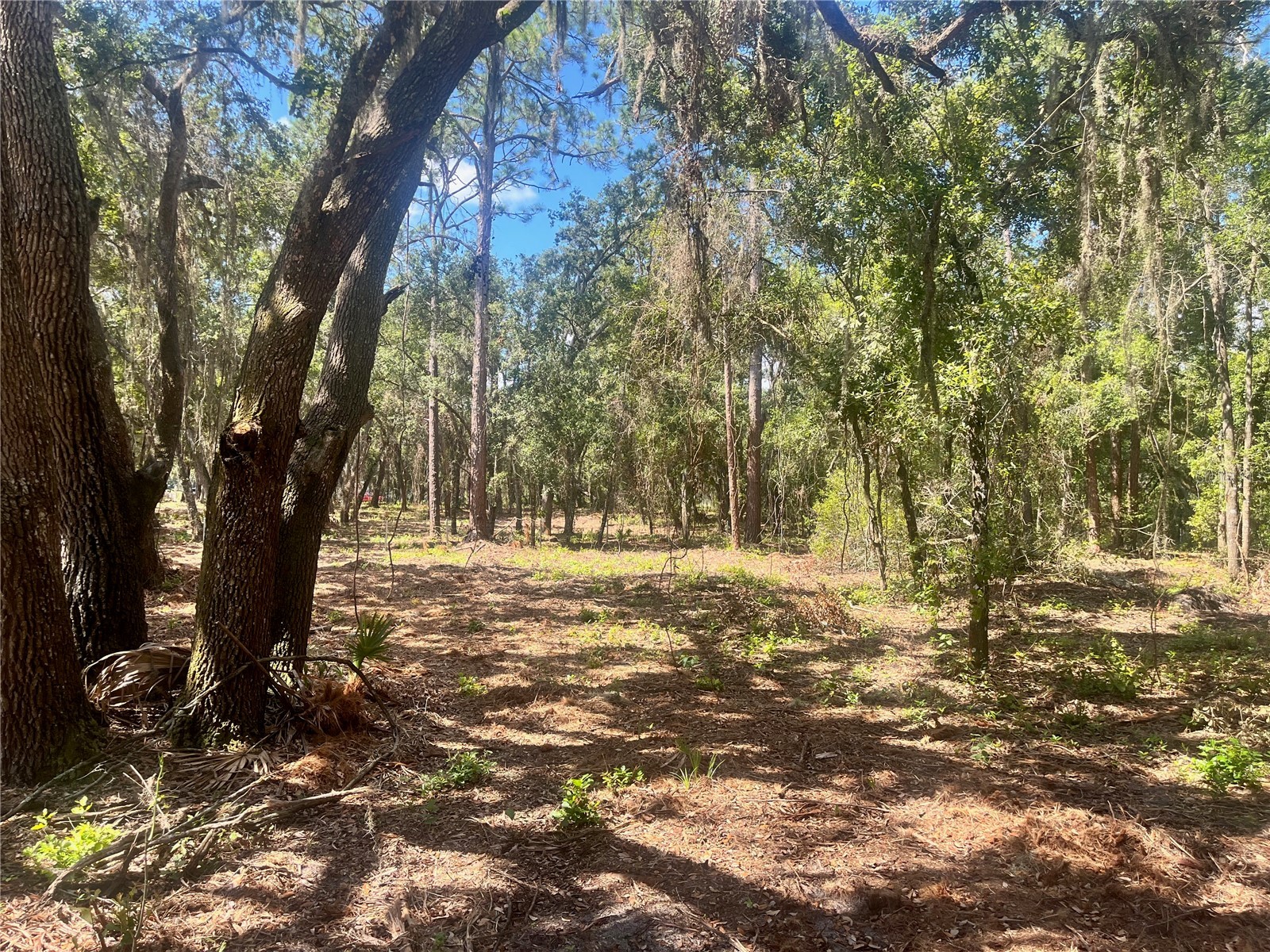 2 Sendcastle Drive Groveland FL 34736 TB8418355 image21