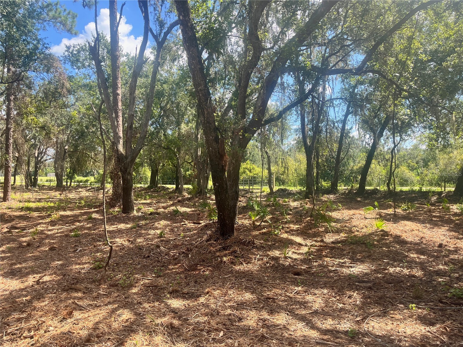 2 Sendcastle Drive Groveland FL 34736 TB8418355 image24