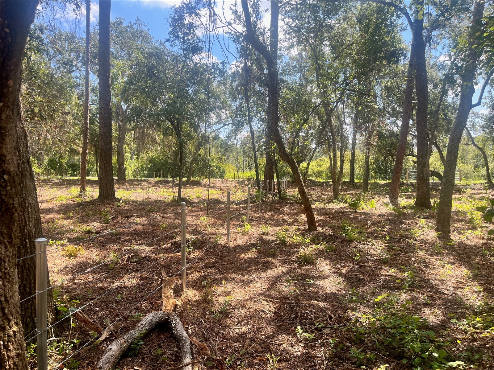 2 Sendcastle Drive Groveland FL 34736 TB8418355 image25