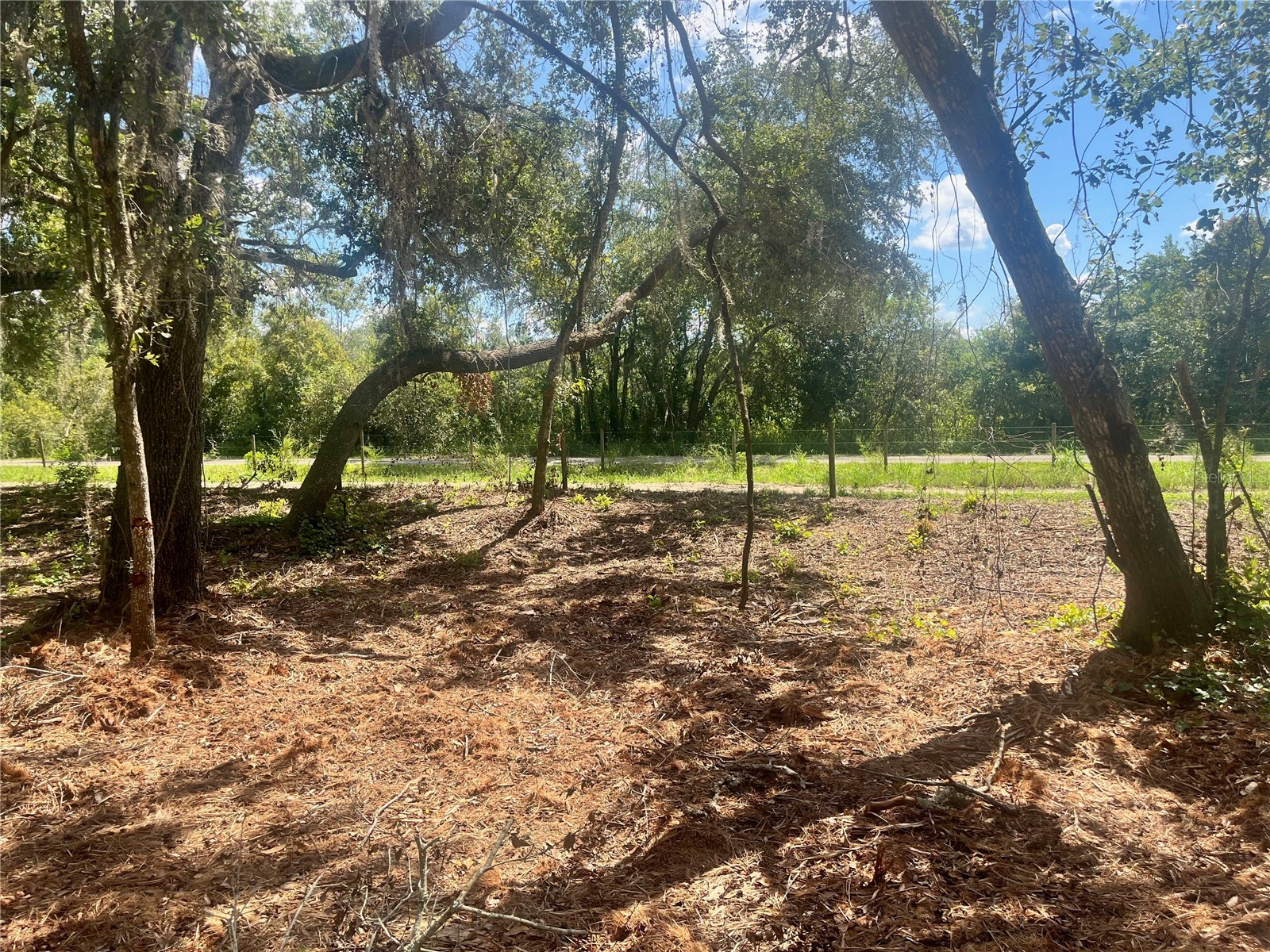 2 Sendcastle Drive Groveland FL 34736 TB8418355 image26