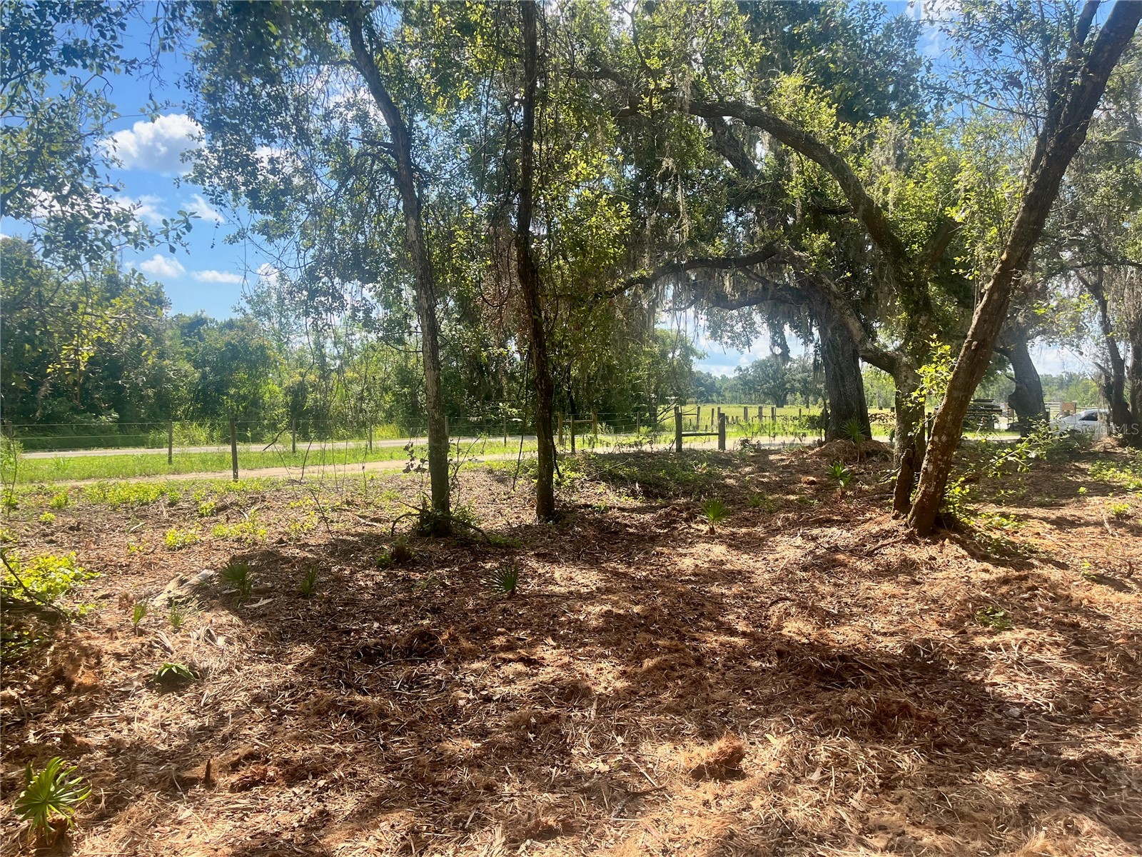 2 Sendcastle Drive Groveland FL 34736 TB8418355 image27