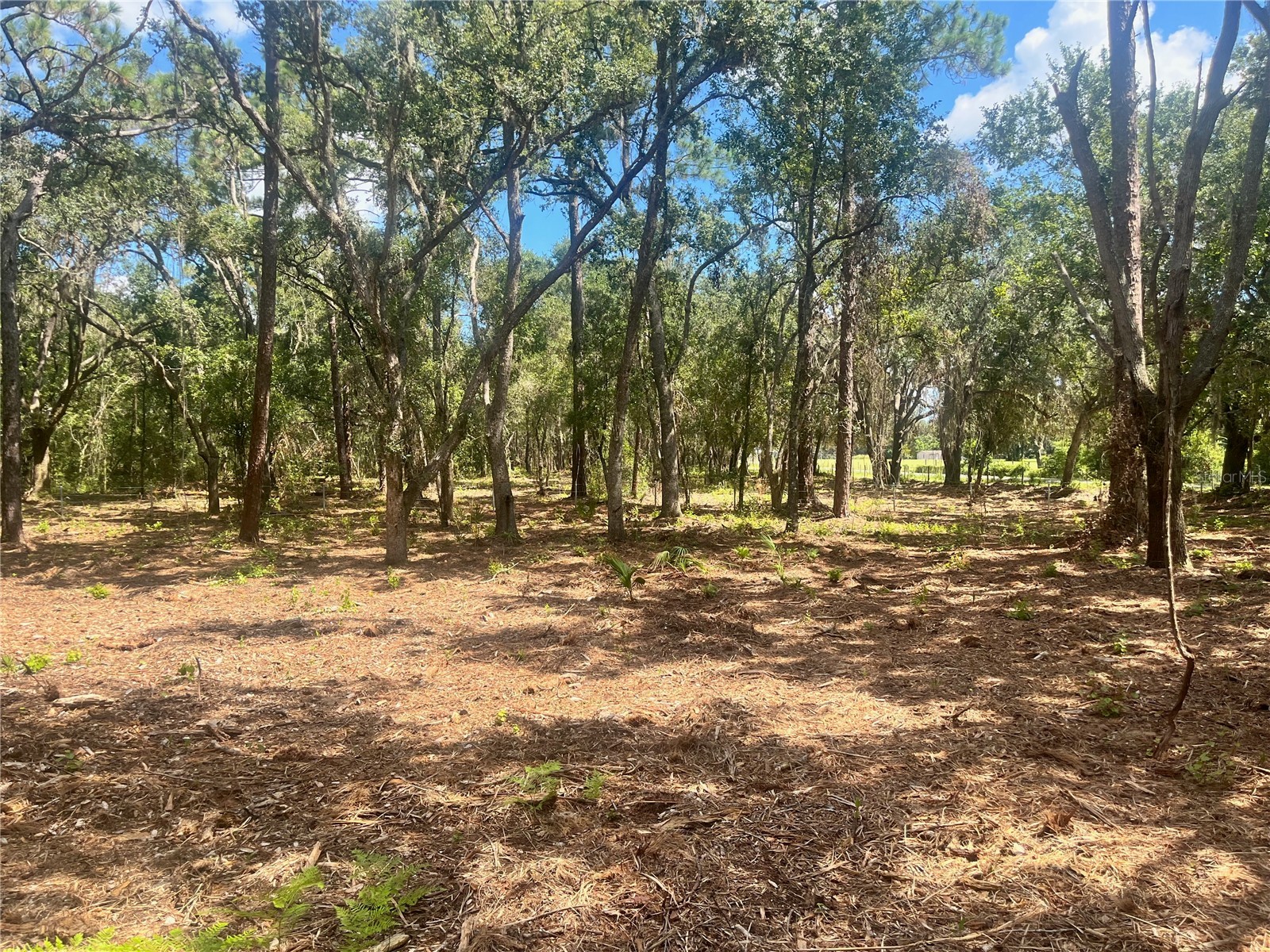 2 Sendcastle Drive Groveland FL 34736 TB8418355 image29