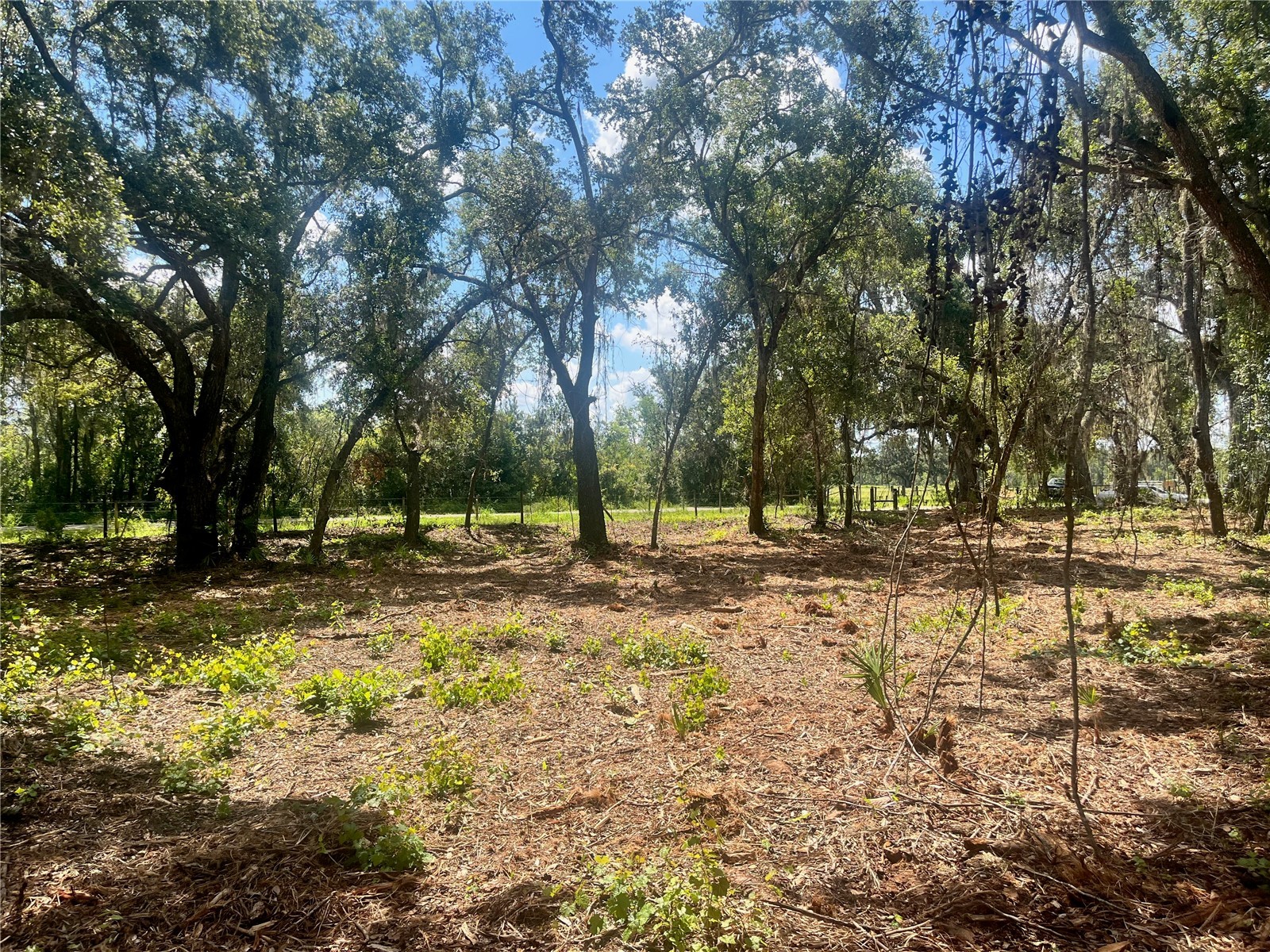 2 Sendcastle Drive Groveland FL 34736 TB8418355 image30