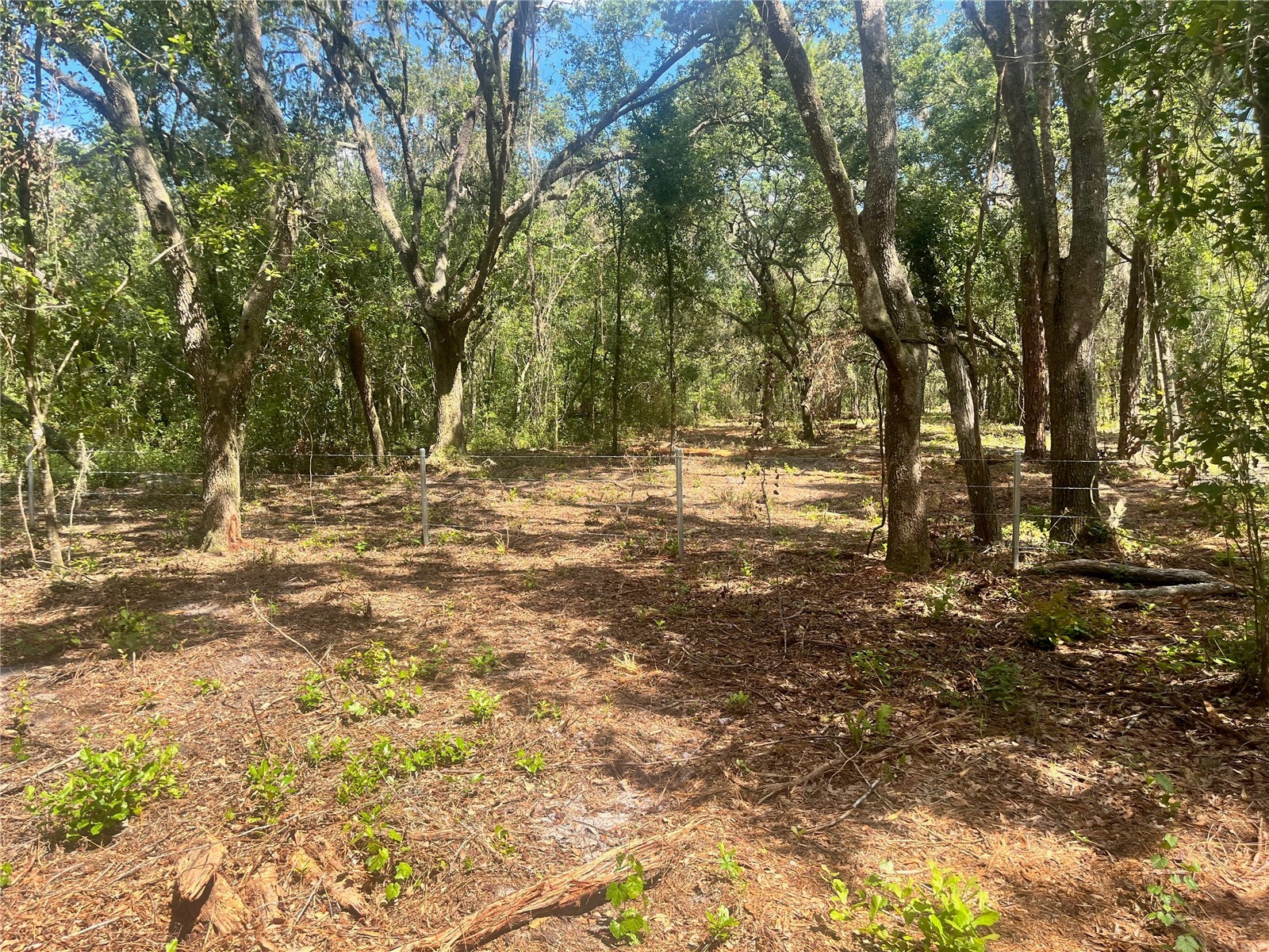 2 Sendcastle Drive Groveland FL 34736 TB8418355 image31