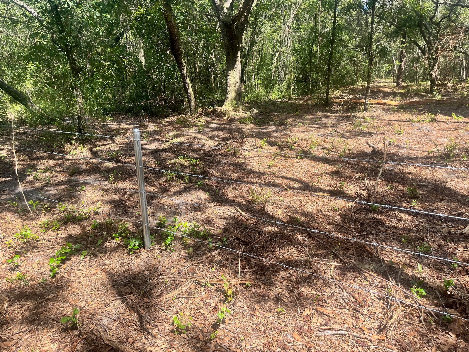 2 Sendcastle Drive Groveland FL 34736 TB8418355 image32