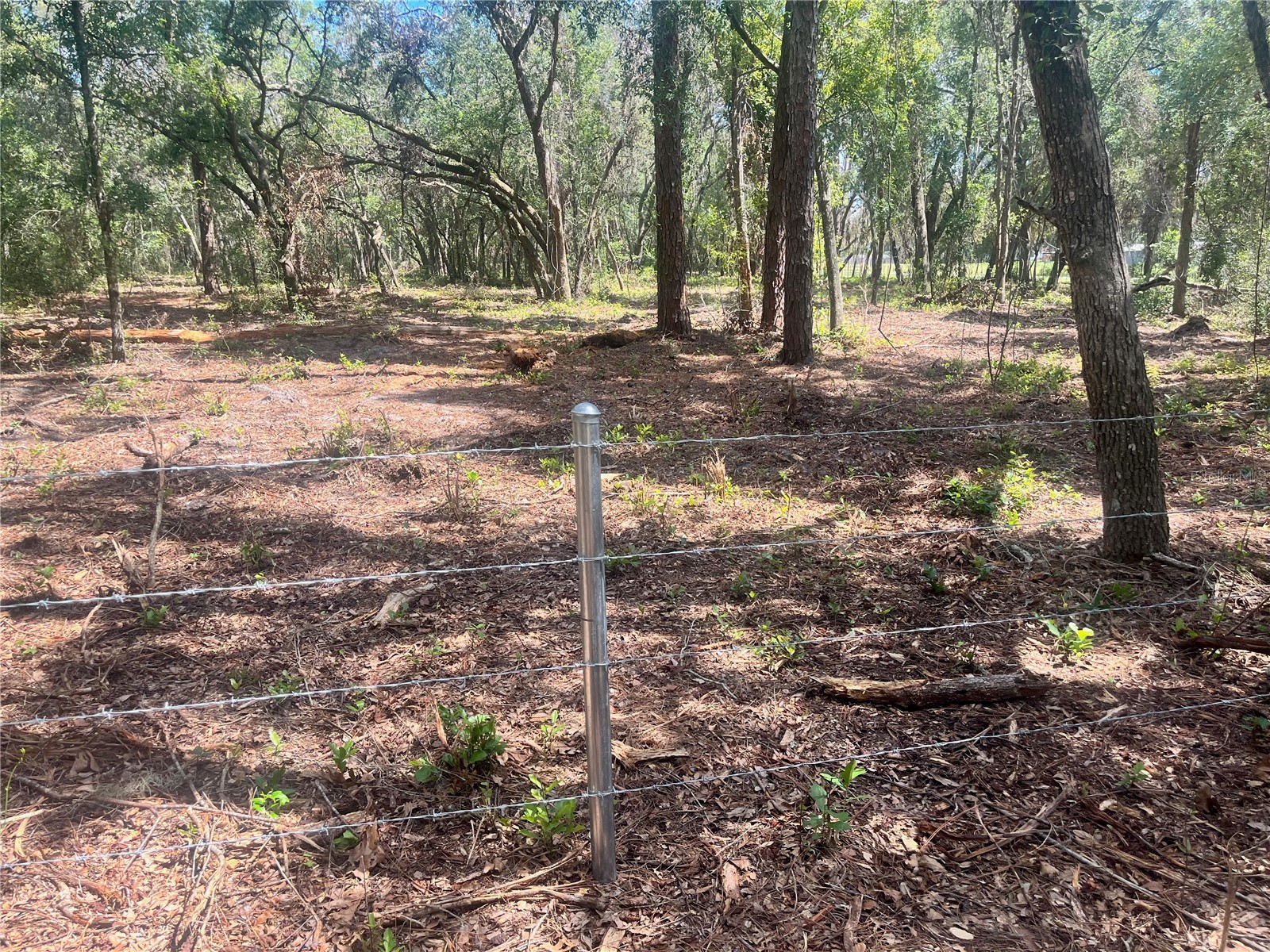 2 Sendcastle Drive Groveland FL 34736 TB8418355 image33